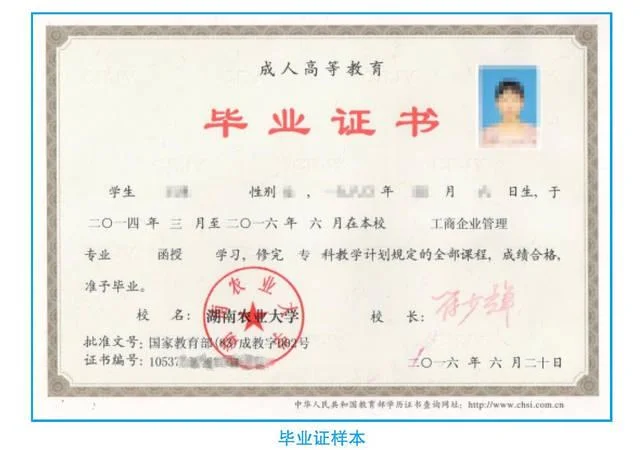 中专生报考大专文凭_1