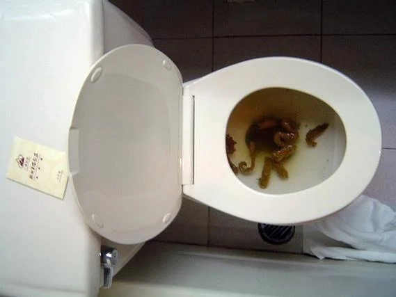 梦到茅厕里满是屎_1