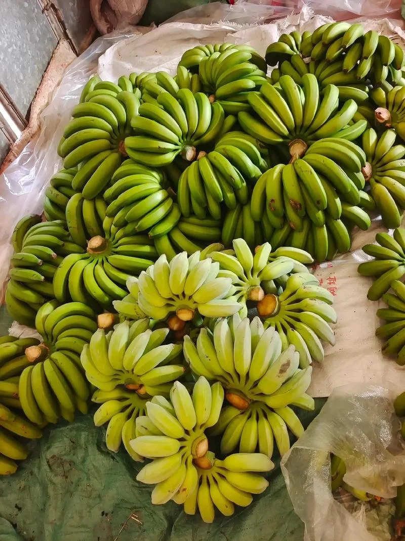 梦到吃香蕉_1