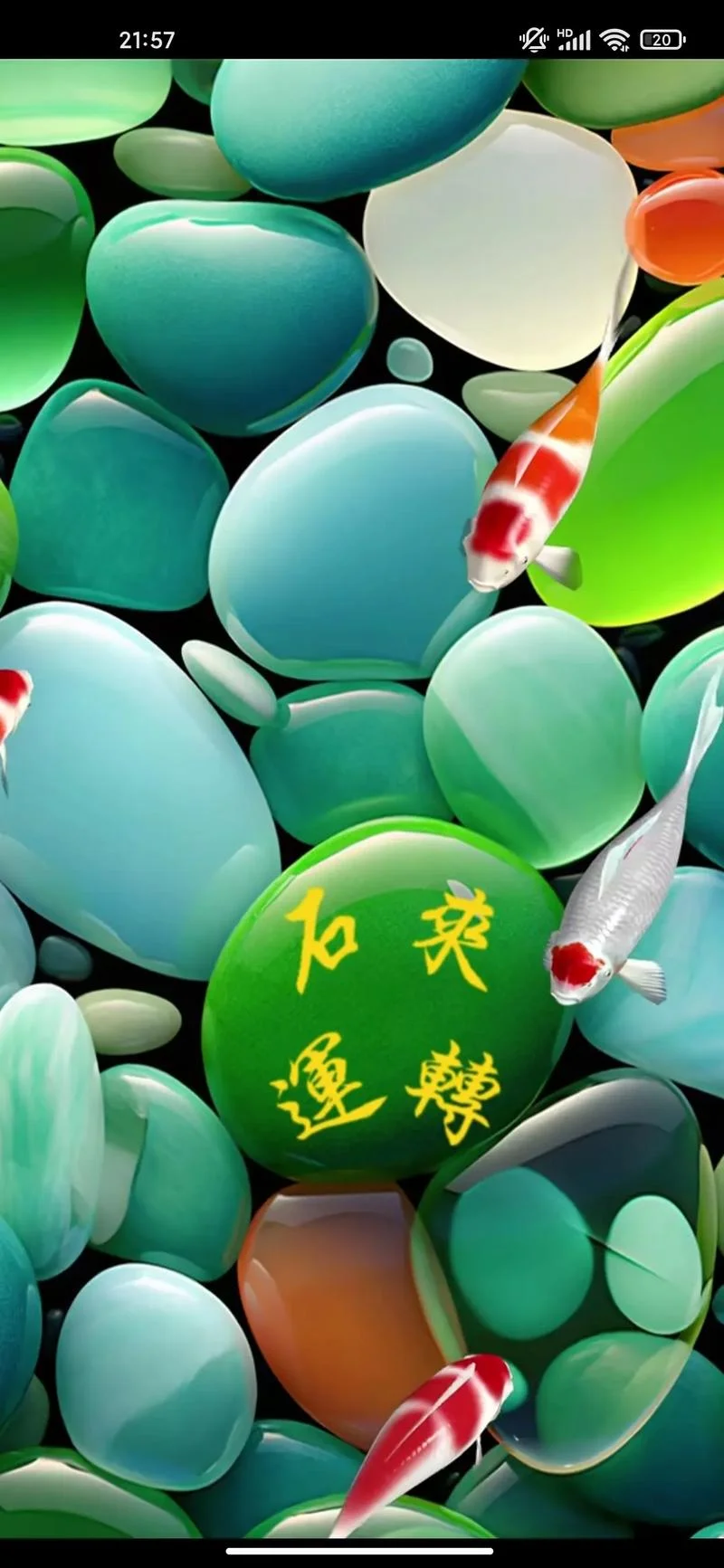 梦见鱼儿离开水_1
