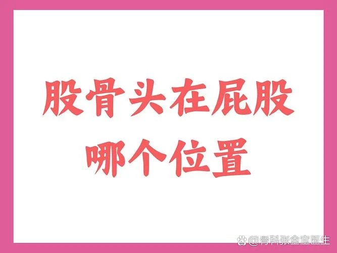 骨股头是指什么-骨股头指什么