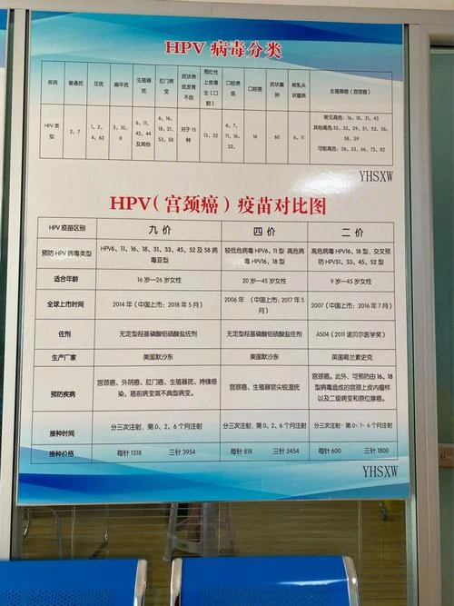 hpv二价多少钱_1