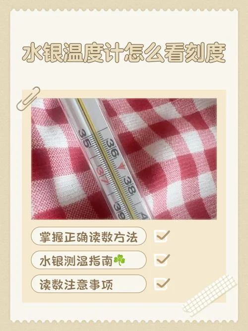 测温度计怎么用_1