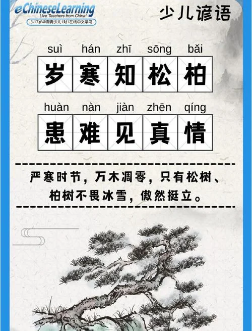 严是爱松是害的感悟-严是爱松是害的感悟
