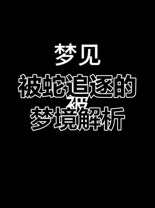 梦见被人追逐_2
