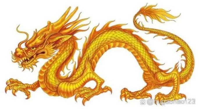 做梦梦见龙是什么预兆_1