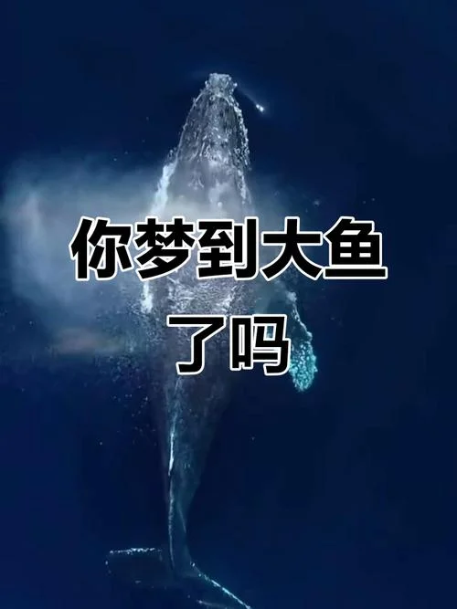 梦见水里大鱼在游动_1