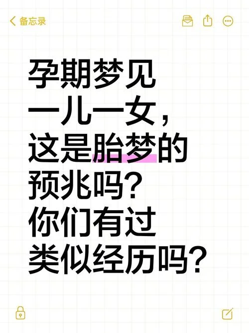 梦见自己生了双胞胎儿子是什么意思?_2