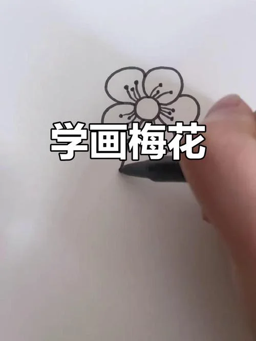 画梅花简笔画图解_2