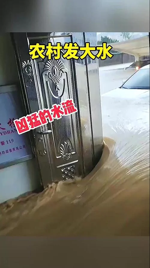 梦见风大水大_1
