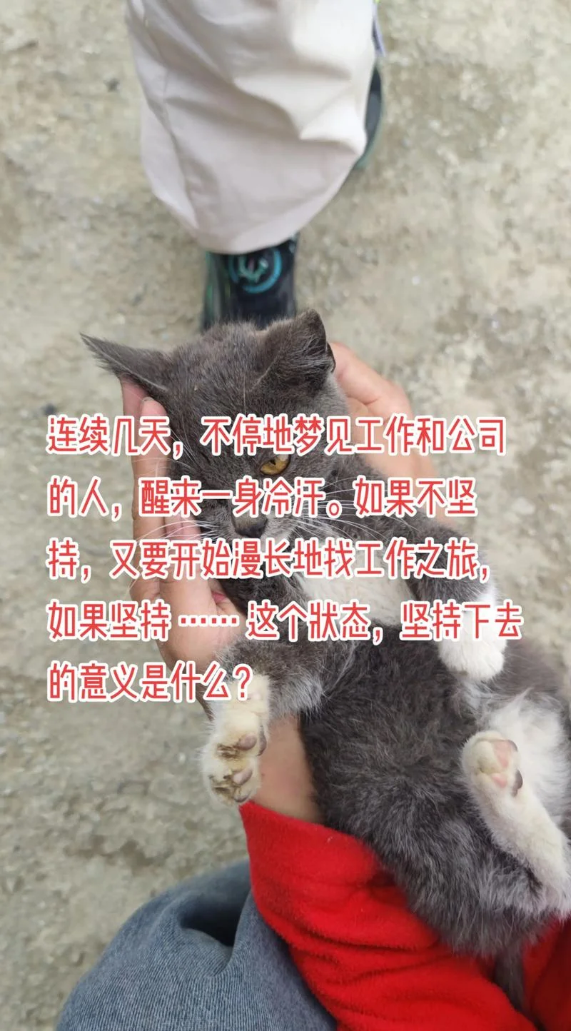 梦见自己找工作没找到_1