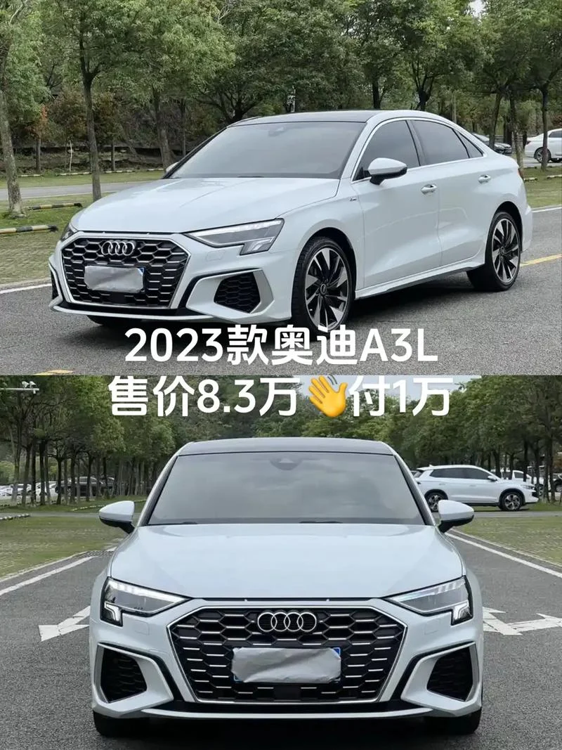 什么人买奥迪a3国产-奥迪a3国产买家