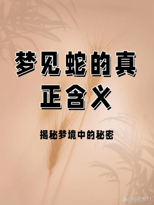 梦到大蟒蛇什么意思_1