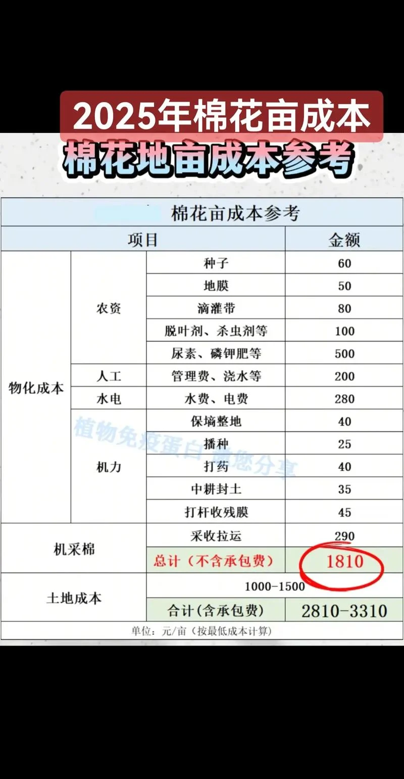 新强棉花多少钱一斤_2