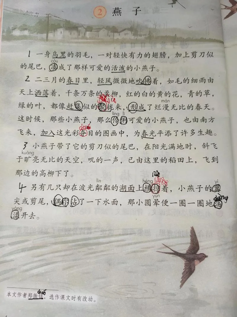 燕子的读书笔记_2