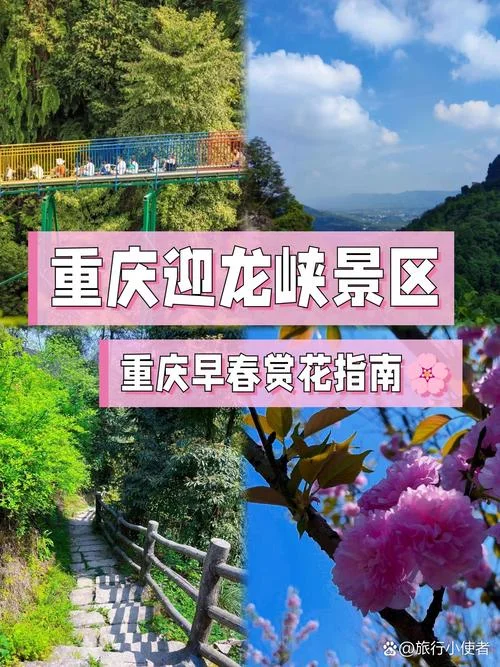 重庆赏花景点介绍-重庆赏花景点一览