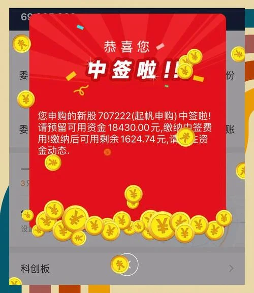 申购新股中签号在哪查_2