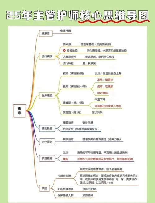 护师报名条件要求-护师报名条件