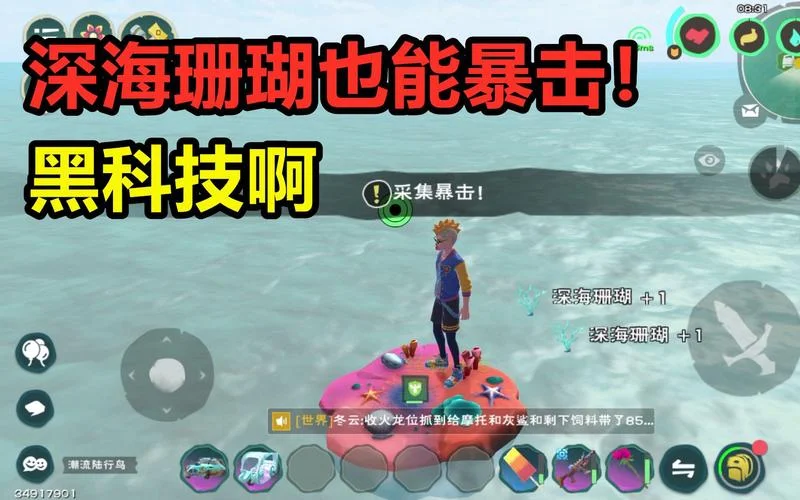 创造与魔法山珊瑚在哪_1