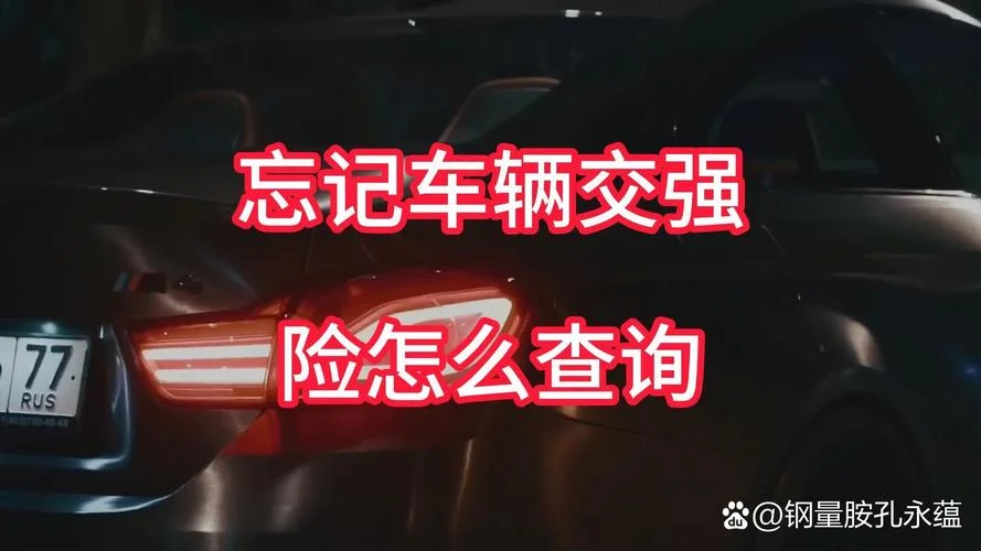 买了保险在哪里查保单_2