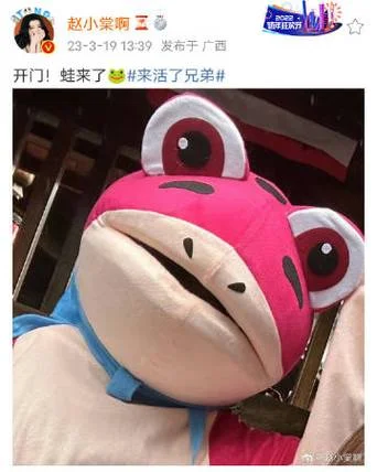 西红柿娱乐代理怎么做_2
