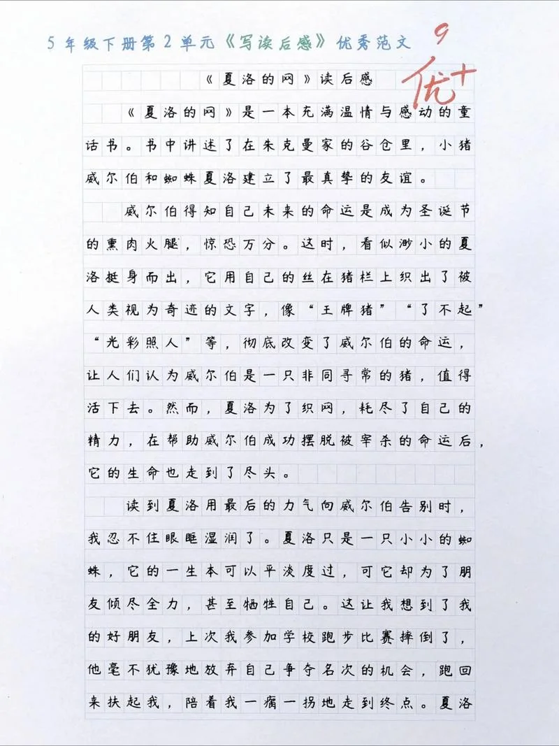 读后感作文讲评-读后感讲评