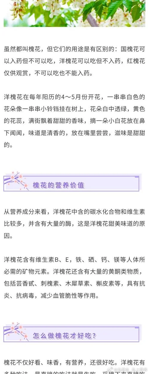 洋槐花几月份可以吃-洋槐花五月可食。
