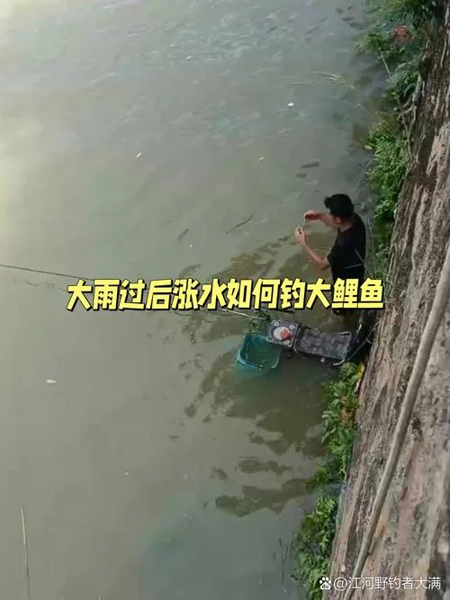 梦见下雨发大水了捞鱼_1