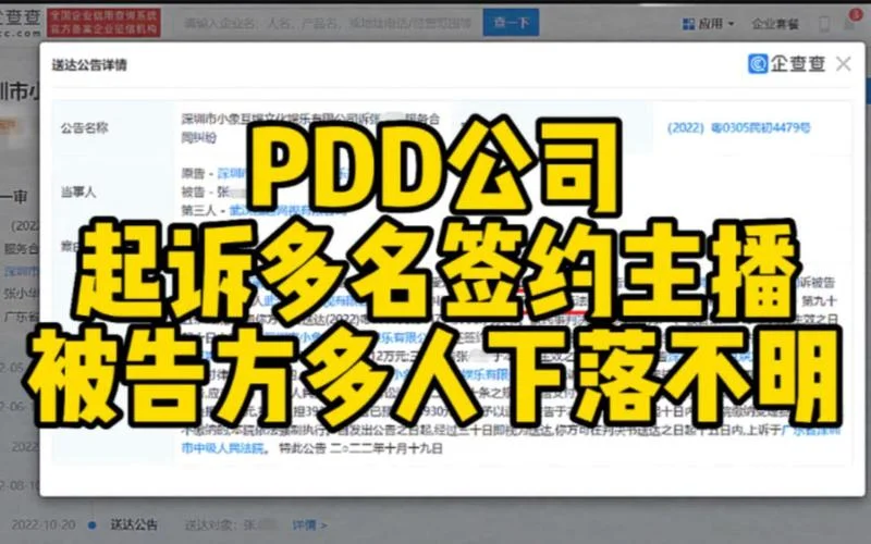pdd是什么公司_2