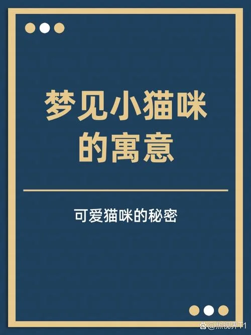 做梦梦到猫是什么意思_2
