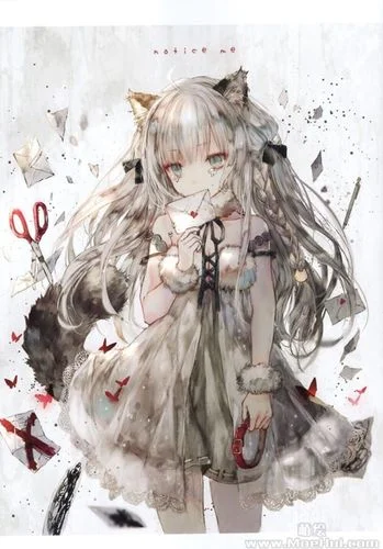 鬼猫屋的画集叫什么-鬼猫屋画集名