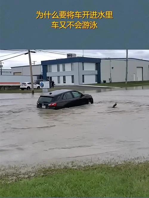 梦见朋友开车掉水里了是什么意思_2