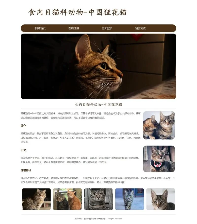 什么是php网站_2