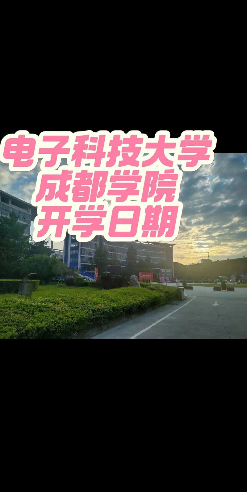电子科技大学成都学院官网_1
