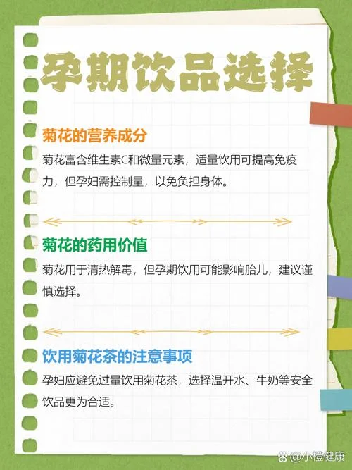 孕妇梦到菊花是女孩吗_1