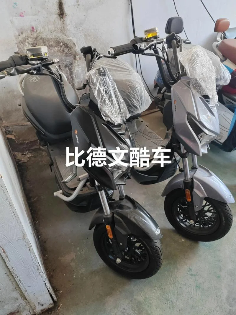 比德文电动车多少钱_1