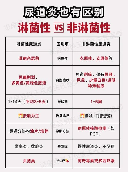 非淋是什么意思-非淋是什么意思