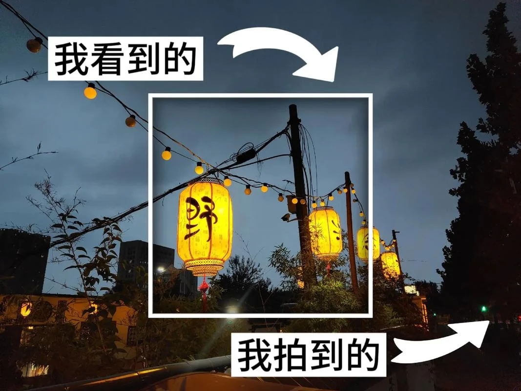 日常随手拍是什么意思_2