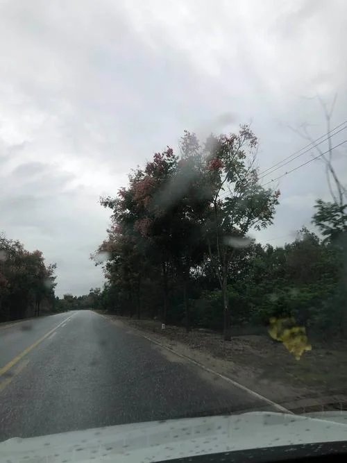 秋风秋雨秋意凉下一句-秋雨凉意满秋