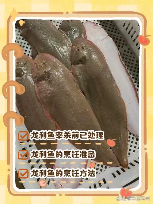 正宗龙利鱼多少钱一斤_1