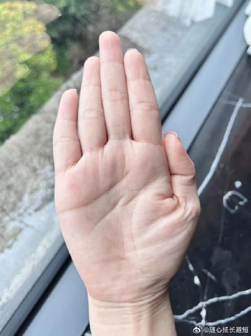 手指尖尖的手相_1