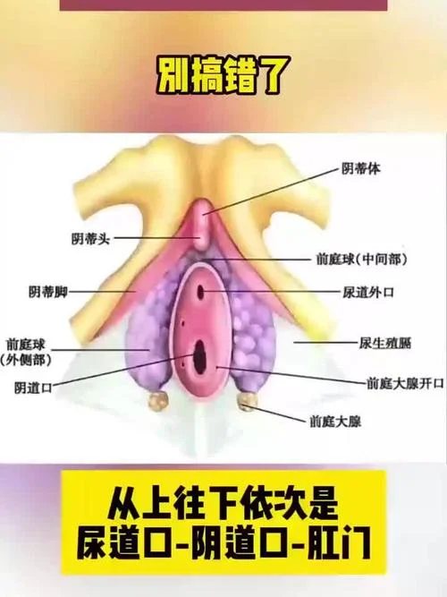专业生殖理_1