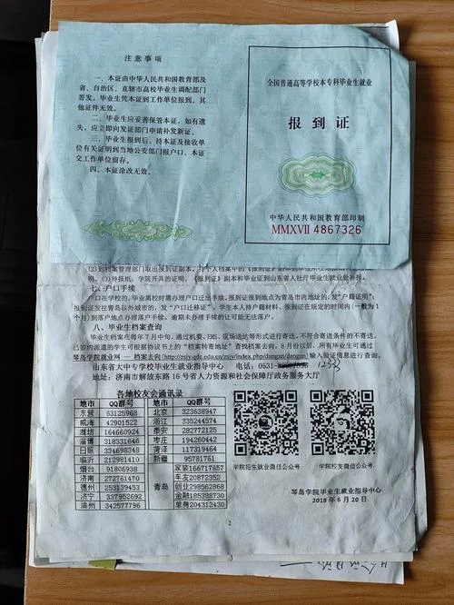 怎么查自己的报到证_1