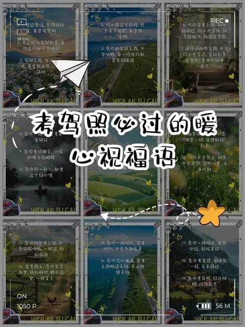 驾照考试成功的祝福语_2