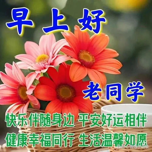 同学祝福语早上好_2