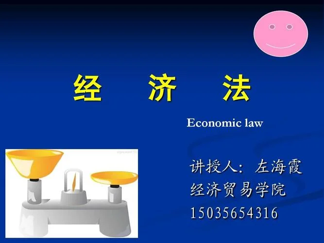 经济合同法哪一年立得-1999 年法律出台