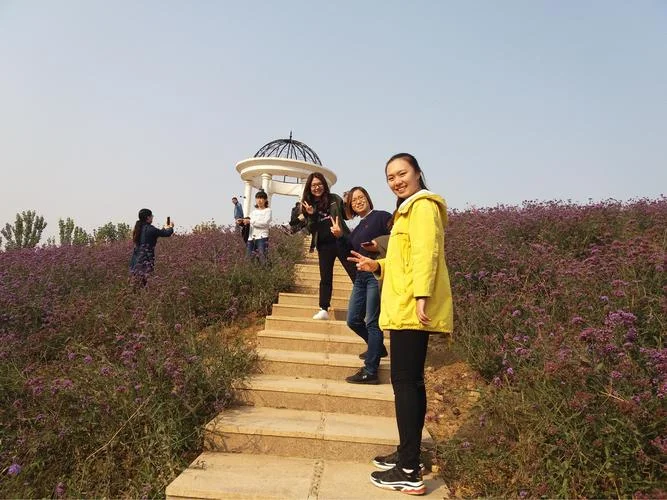 首都师范大学附属密云中学_1
