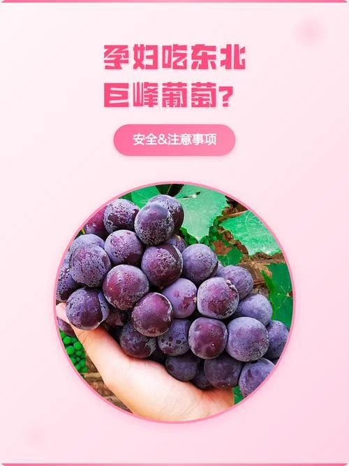 孕妇梦见吃葡萄买葡萄_1