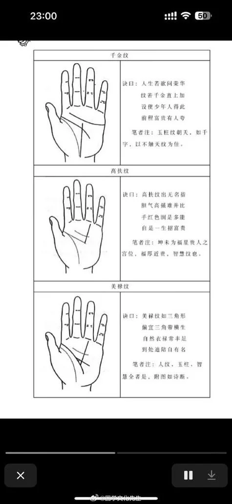 看手相免费算命-免费看手相算命
