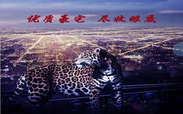 梦到北京买房子_2